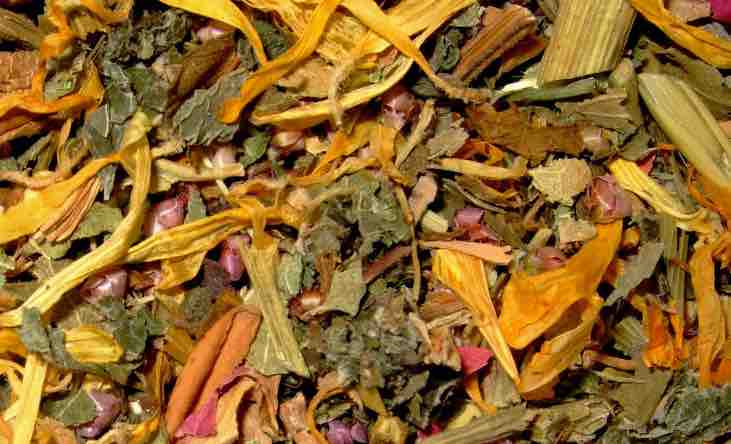 Le migliori tisane da bere a Natale: ecco alcuni consigli 