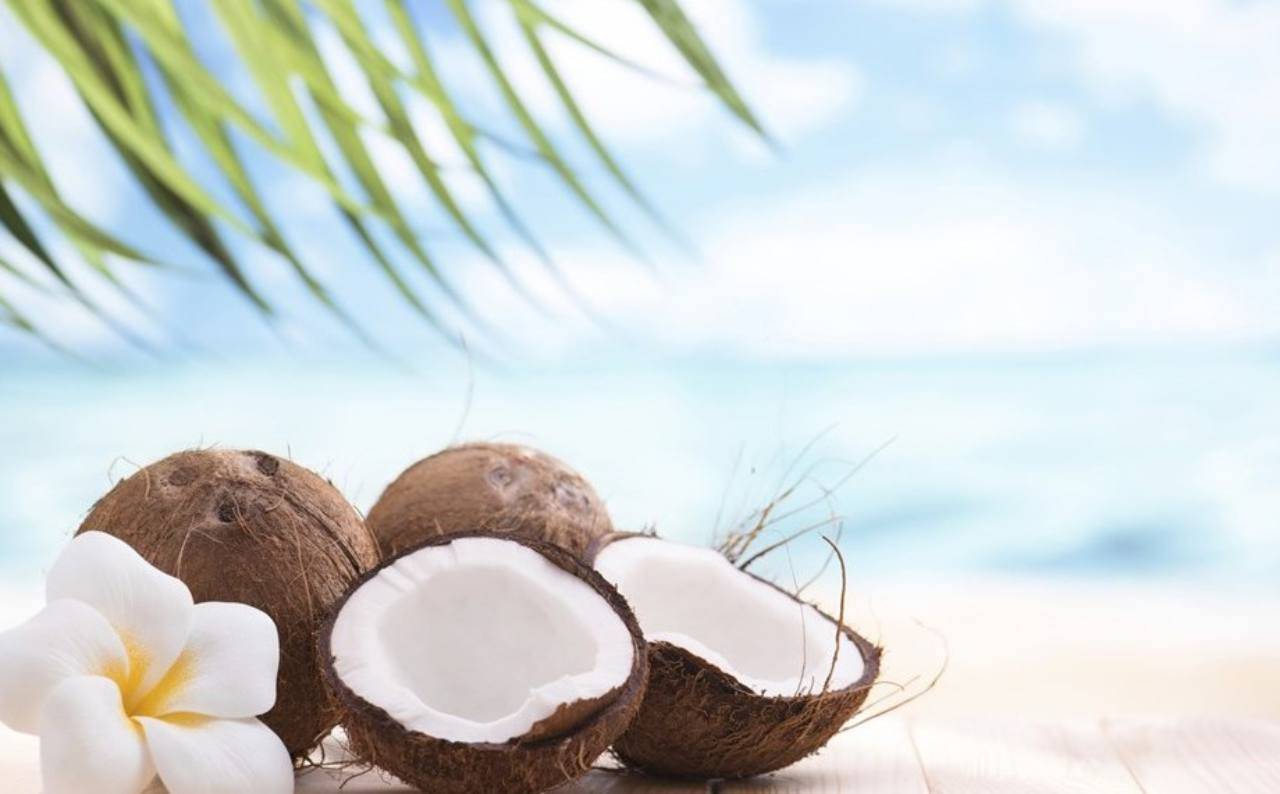 Cocco: proprietà e benefici per la salute di questo frutto esotico