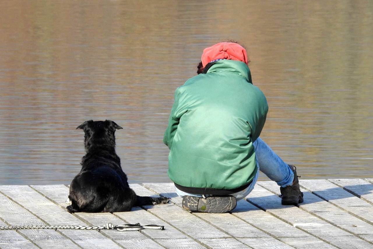 cane e uomo