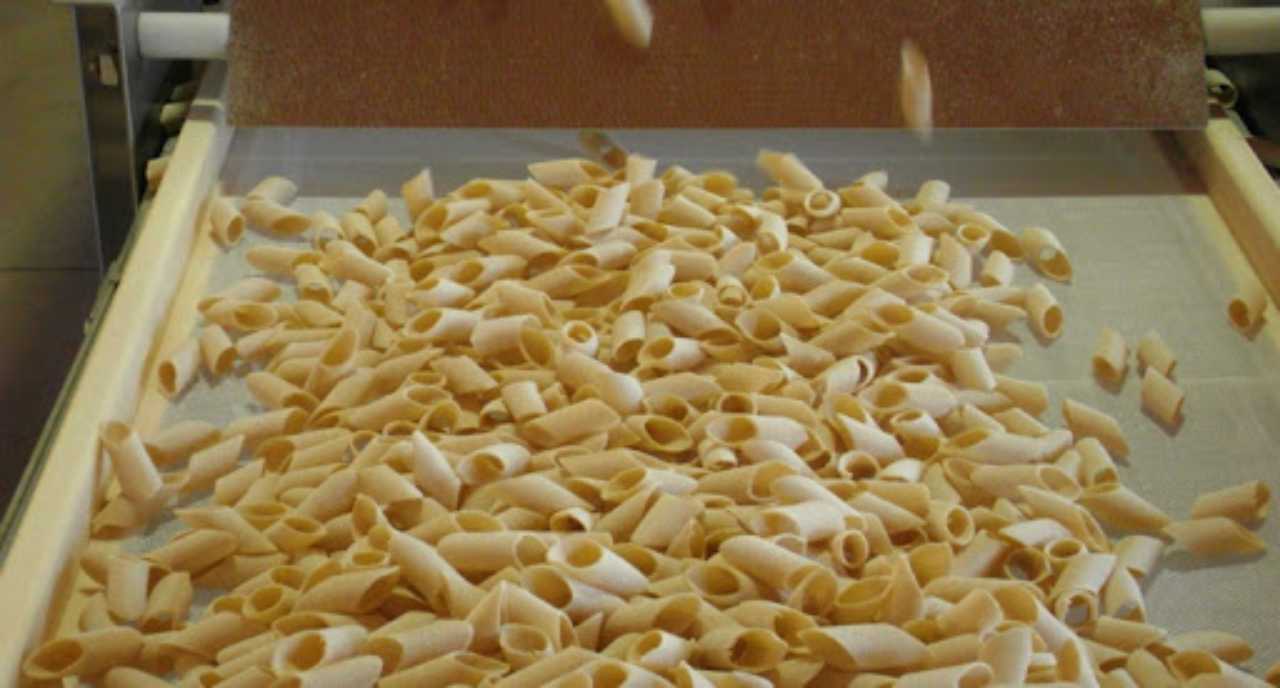 Pasta del Senatore, l'inchiesta della Rai: cosa c'è dietro le multe