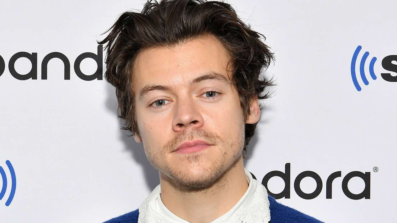 Harry Styles avvistato a Venezia: l'incredibile reazione di una fan